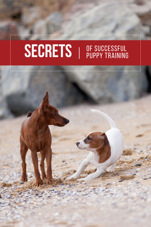 Template di design segreti di addestramento cucciolo con cani carini Pinterest