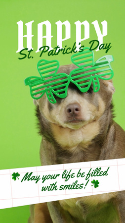 Designvorlage Patrick's Day Cheers mit Hund in Gläsern für TikTok Video