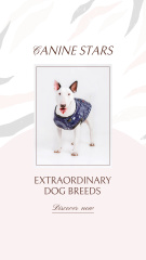 Outstanding Purebred Dog Breeds From Local Breeder