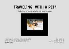 Travelling Tips Ad with Dog on Bed