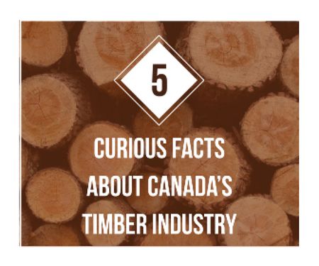 Plantilla de diseño de Timber Facts Pile of Wooden Logs Large Rectangle 