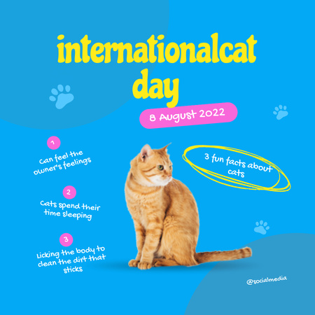 Cute Kitty for International Cat Day Anouncement  Instagram Design Template