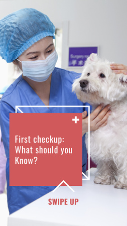 Veterinarian examining Dog in Hospital Instagram Story Design Template