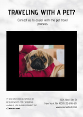 Pet Travel Guide with Cute French Bulldog near Owner