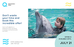 Swim with Dolphin Offer with Cute Kid in Pool
