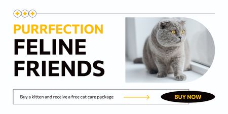 Template di design Gli amici felini perfetti sono disponibili per l'adozione Twitter
