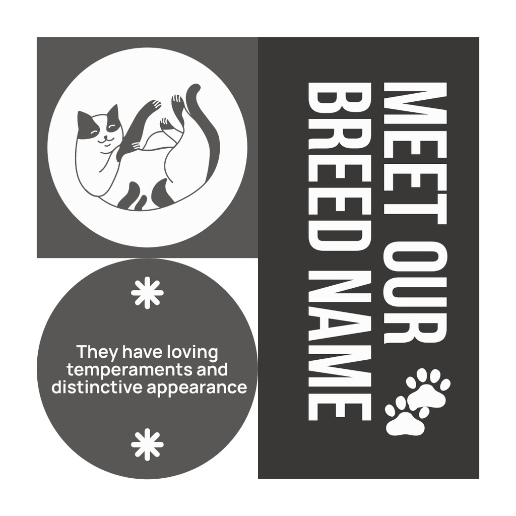 Plantilla de diseño de Meet Our New Cat Breed Instagram 