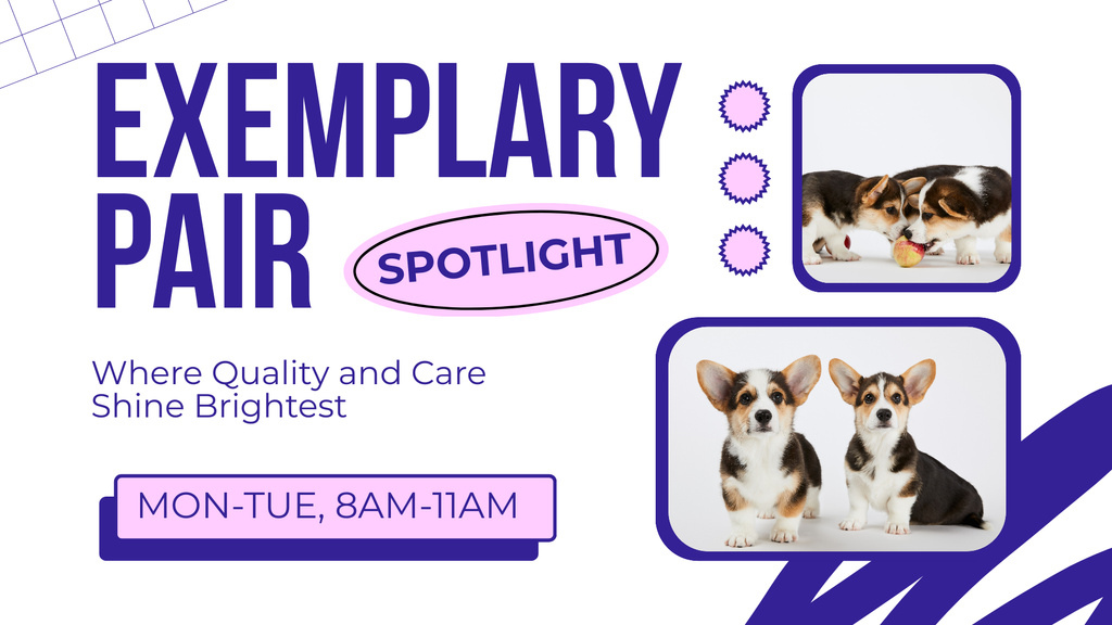 Exemplary Corgi Puppies Promotion FB event cover – шаблон для дизайна