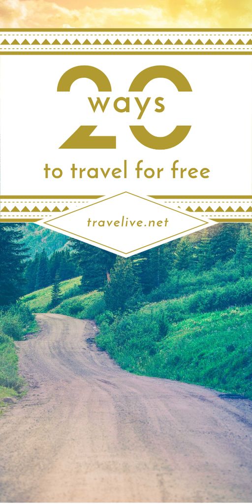 Travel Tips Forest Road View Graphic Design Template