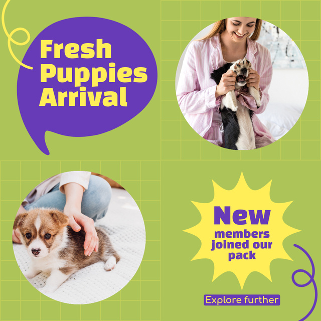 New Puppies Arrival At Breeding Center Animated Post Design Template