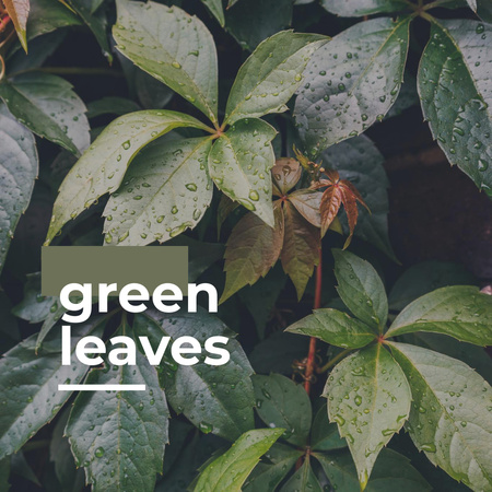 Green Leaves in Garden Instagram Design Template
