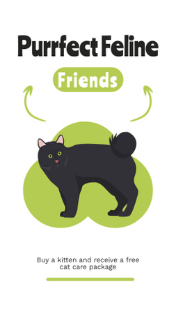 Offer of Perfect Cats for Adoption Instagram Story Design Template