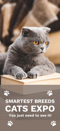 Smartest Breeds at Cat Expo Snapchat Geofilter Design Template