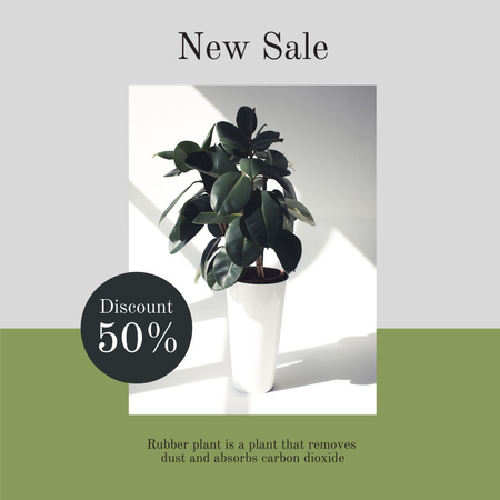Ontwerpsjabloon van Instagram van Decorative Plant Sale Offer in White and Green