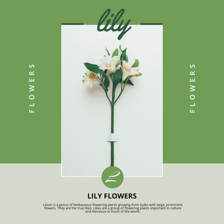 Hienojen liljojen oksa Instagram Design Template