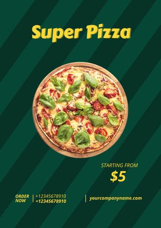 Delicious Pizza Offer Poster Design Template