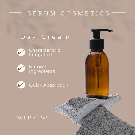Daily Routine Skin Care Serum Offer With List Of Advantages Instagram – шаблон для дизайна