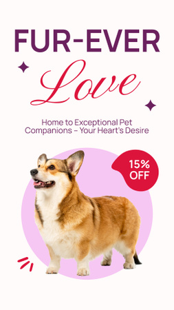 Platilla de diseño Excellent Furry Pet Companion Deals Instagram Story