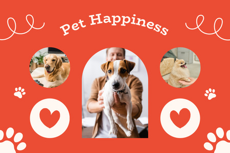 Φωτογραφίες από χαρούμενα σκυλιά διαφορετικών φυλών Mood Board Πρότυπο σχεδίασης