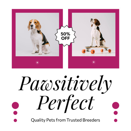 Quality Puppies from Trusted Breeders Animated Post Design Template