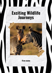 Wild Zebras In Nature And Wildlife with Journeys Promotion