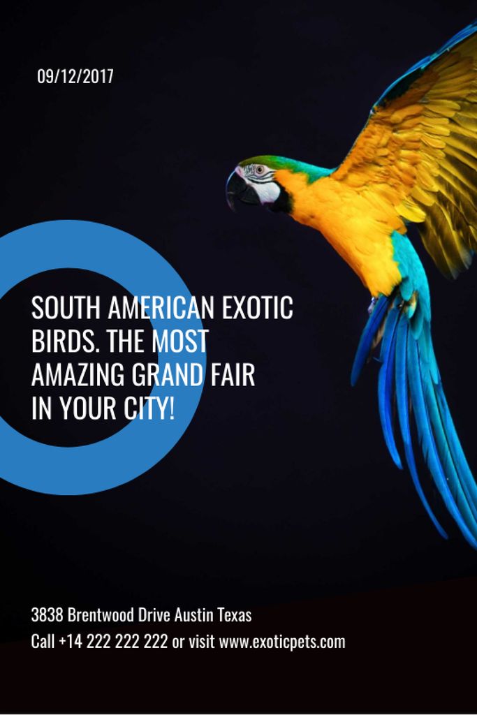 Exotic Birds Shop Ad Flying Parrot Tumblr Modelo de Design
