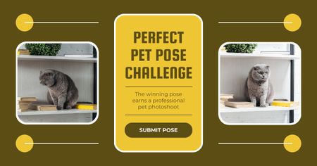 Cats' Photoshoots Contest Facebook AD Design Template