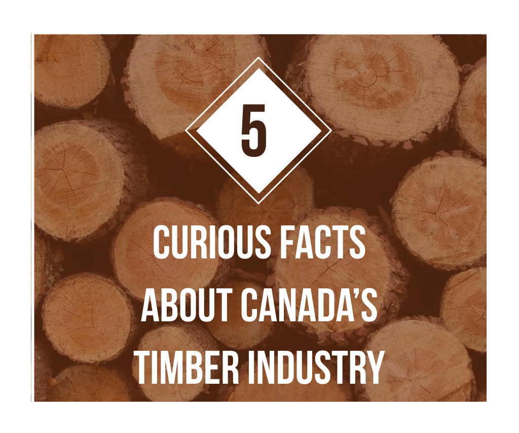 Timber Facts Pile of Wooden Logs Large Rectangle Πρότυπο σχεδίασης