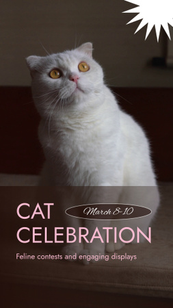 Stunning Cat Celebration Event With Contests TikTok Video Design Template