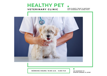 Designvorlage Veterinary Clinic Ad with Doctor and Cute Dog für Poster A2 Horizontal