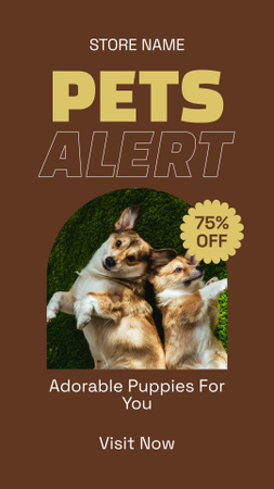 Plantilla de diseño de Adorable Corgi Puppies At Discounted Rates Instagram Story 