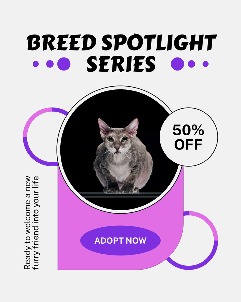 Purebred Cats for Sale Instagram Post Vertical Design Template