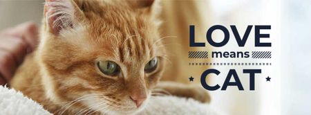 Cute Red Cat Facebook cover Design Template
