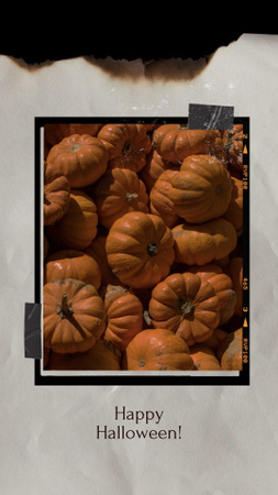 Halloween Inspiration with Ripe Pumpkins Instagram Story Design Template
