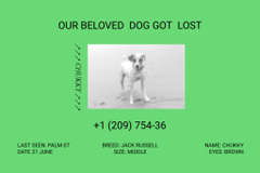 Vivid Green Ad about Missing Dog