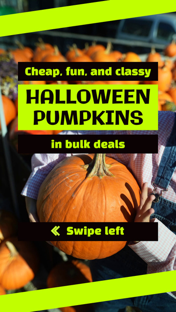 Classy And Ripe Pumpkins Offer For Halloween Holiday TikTok Video Design Template