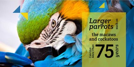 Plantilla de diseño de Bright Colorful Parrot Twitter 