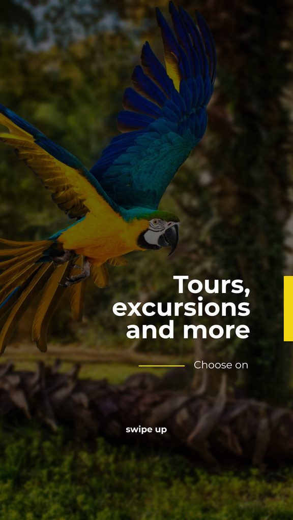 Szablon projektu Exotic Tours Offer Parrot Flying in Forest Instagram Story