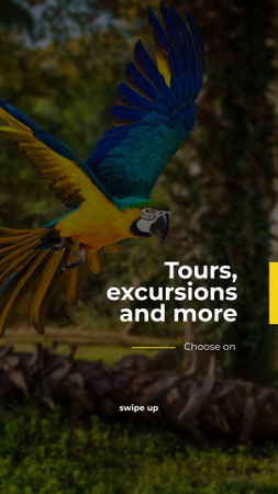 Exotic Tours Offer Parrot Flying in Forest Instagram Story Design Template