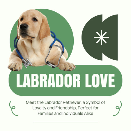 Purebred Labradors for Adoption Instagram AD Design Template