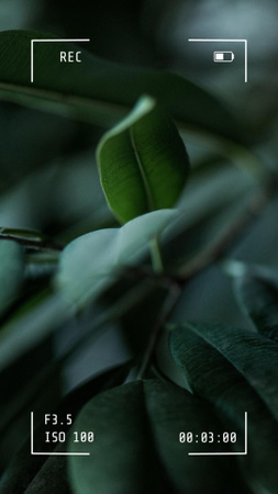 Phrase with Plant Leaves in Focus Instagram Video Story Modelo de Design
