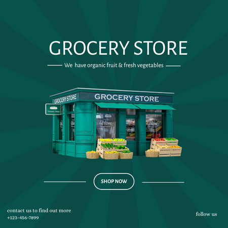 Organic Food In Grocery Shop Promotion Instagram Design Template