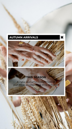 Autumn Sale Announcement Instagram Story Tasarım Şablonu