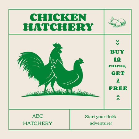 Csirkekeltető madarak értékesítése Instagram tervezősablon