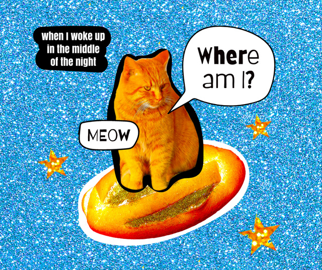 Modèle de visuel Funny Cat flying on Bread - Facebook