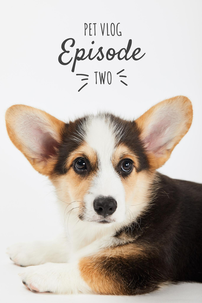 Pet Vlog Ad with Cute Dog Pinterest Design Template