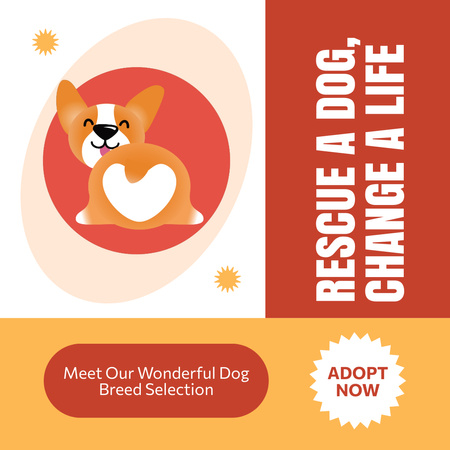Offer to Adopt Wonderful Dog with Cute Corgi Animated Post Design Template