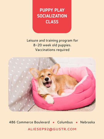 Puppy Socialization Class Announcement with Cute Dog Poster 36x48in Design Template