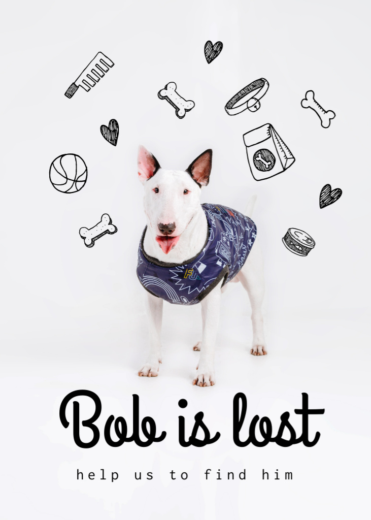 Lost Dog information with cute Bull Terrier Flayer Tasarım Şablonu