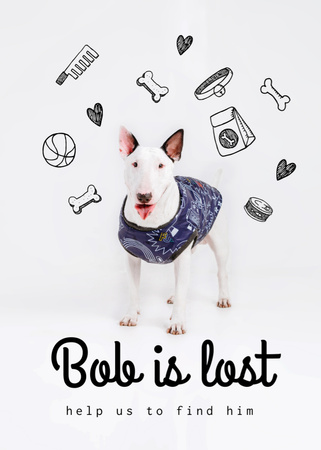 Lost Dog information with cute Bull Terrier Flayer Design Template